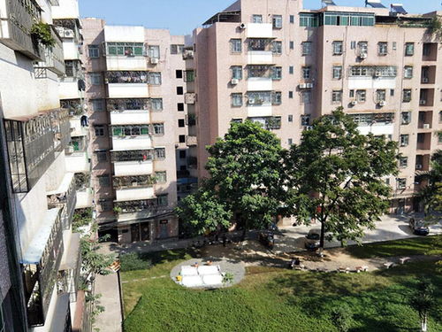 房产首付怎么交给房东