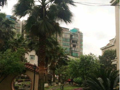 桂园房产怎么样