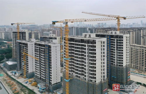 安置房产调怎么拉