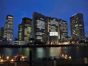国内怎么购买日本房产呢