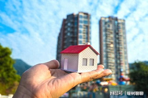 买新房产怎么买