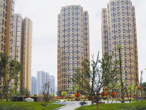 怎么查建筑房产信息