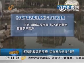 房产人怎么起网名
