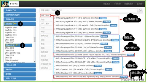 office2010下载教程,office2010免费下载安装教程