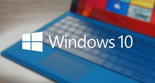 关于microsoftwindowsxp的信息