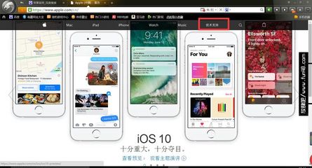 iphone官网查询真伪,iphone官网查询正品