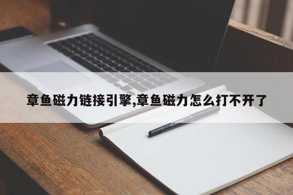 章鱼磁力链接引擎,章鱼磁力怎么打不开了